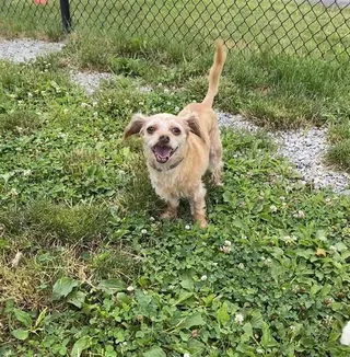 JOSIE