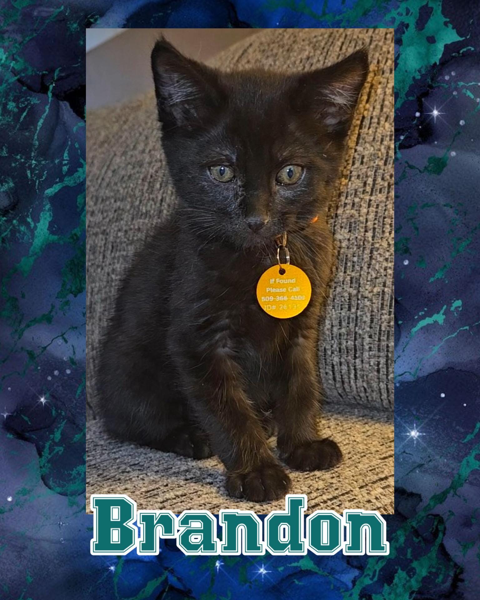 Brandon