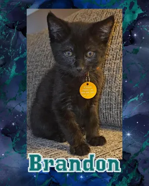 Brandon