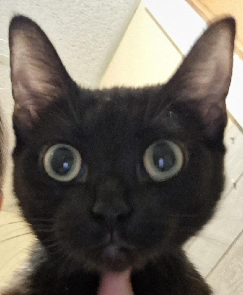 Mama Selene
