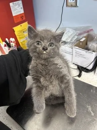 Nick