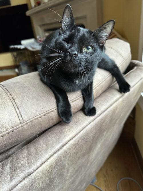 Edgar