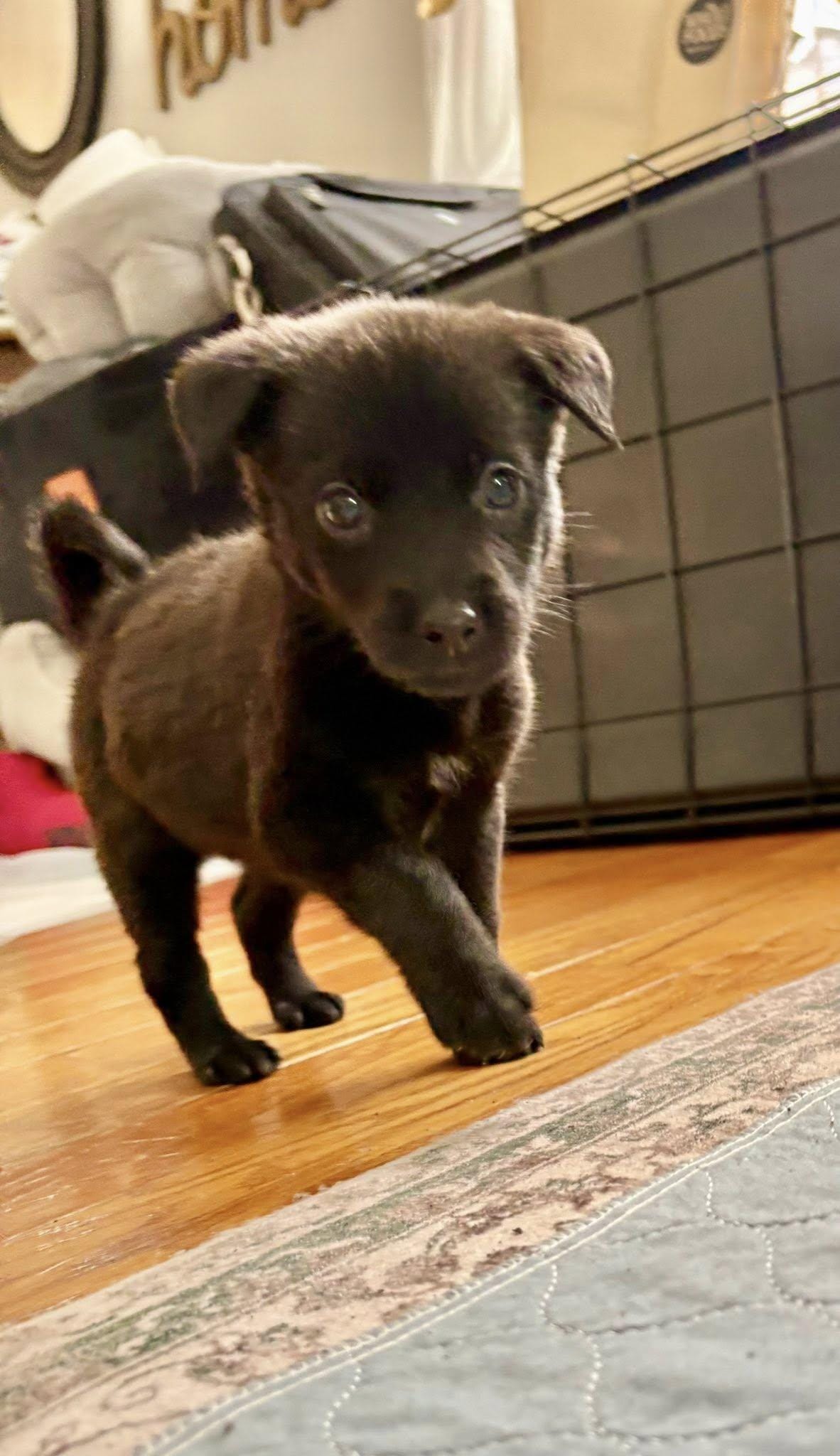 Luna