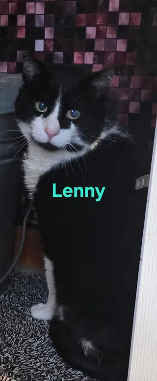 Gabs (and Lenny & Goldie)