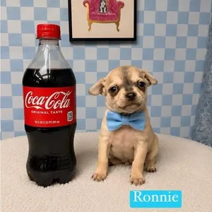 Ronnie