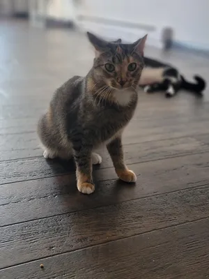 Minnie
