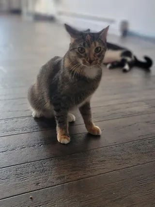 Minnie