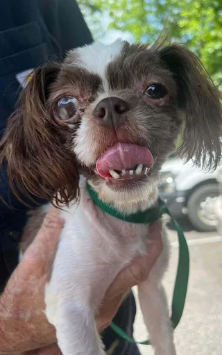 Lilly Marie (AL)