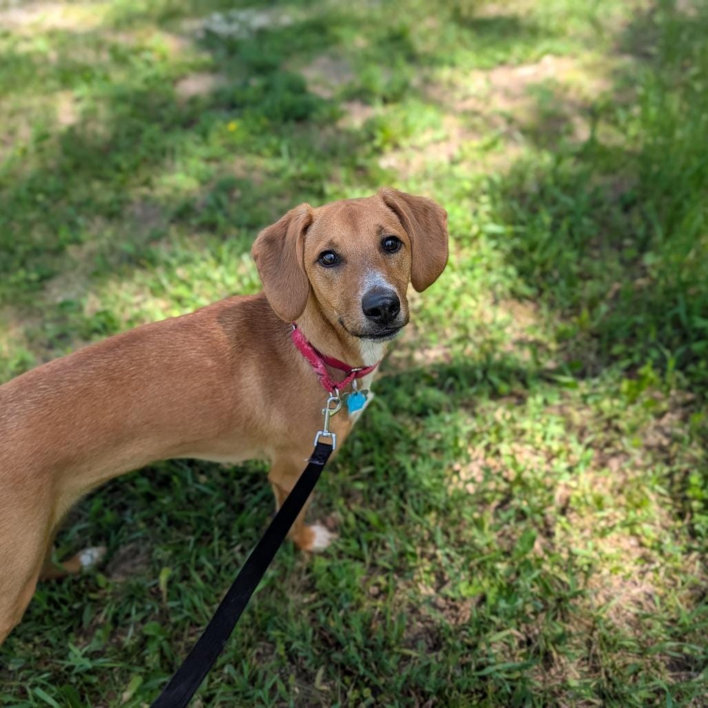 Benny