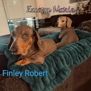 Finley Robert