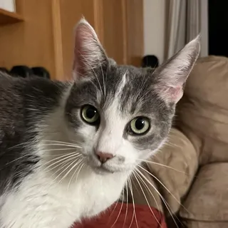 Betsy