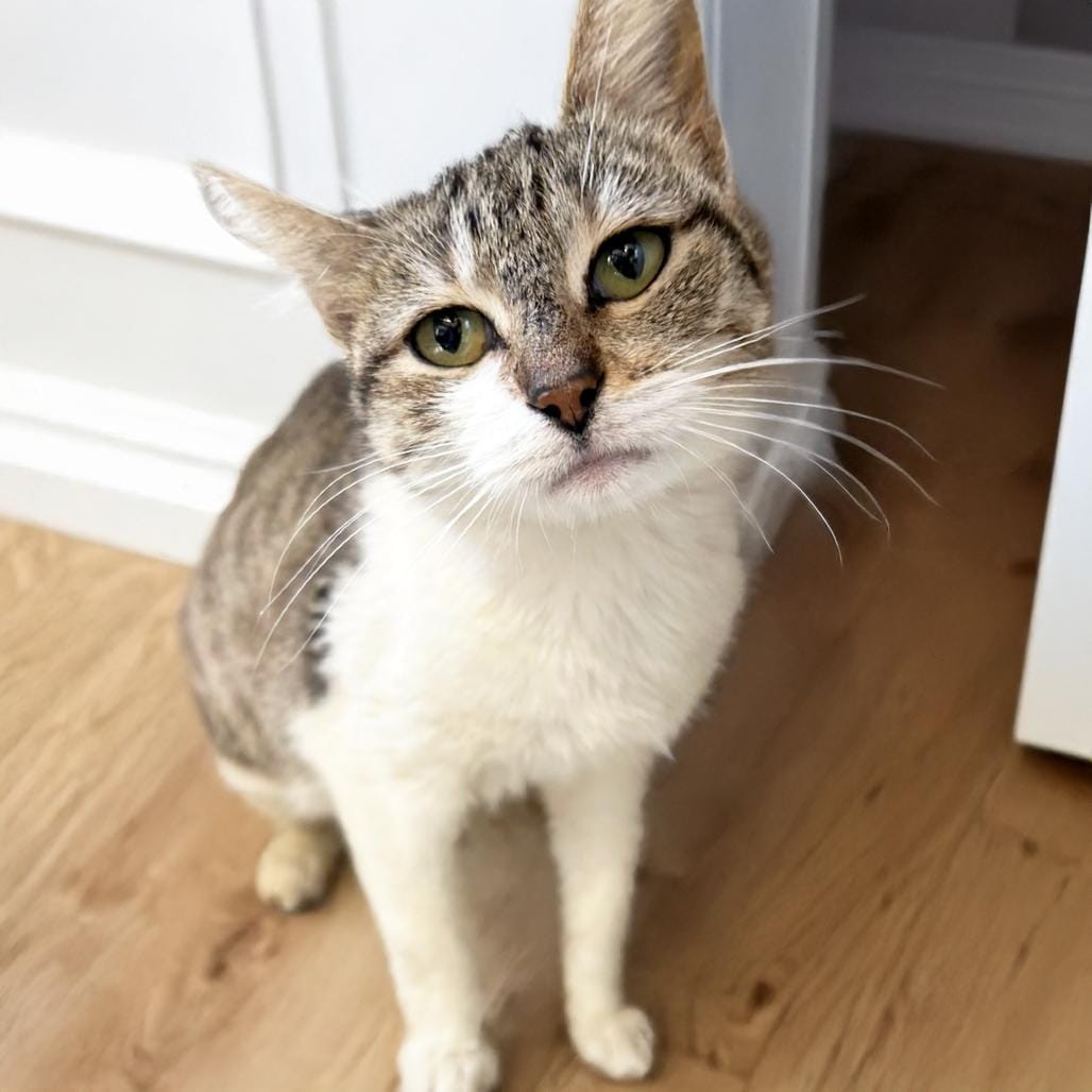Fiona