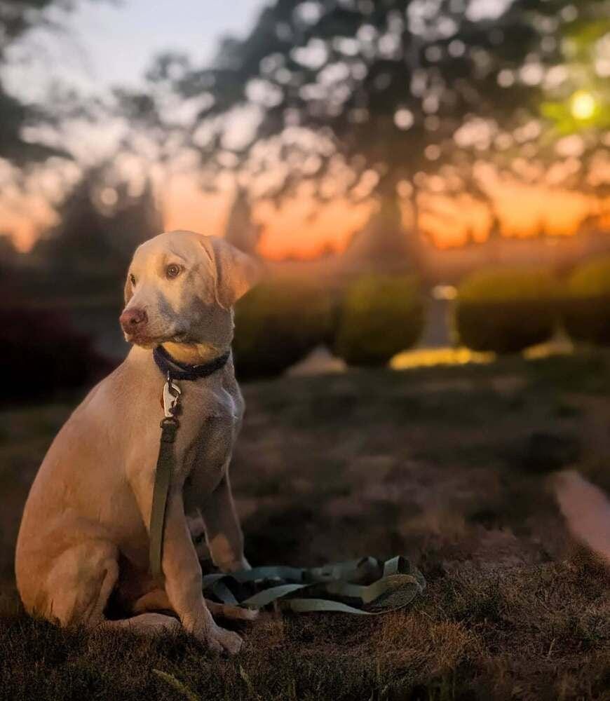 Mason
