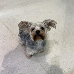 Quincy