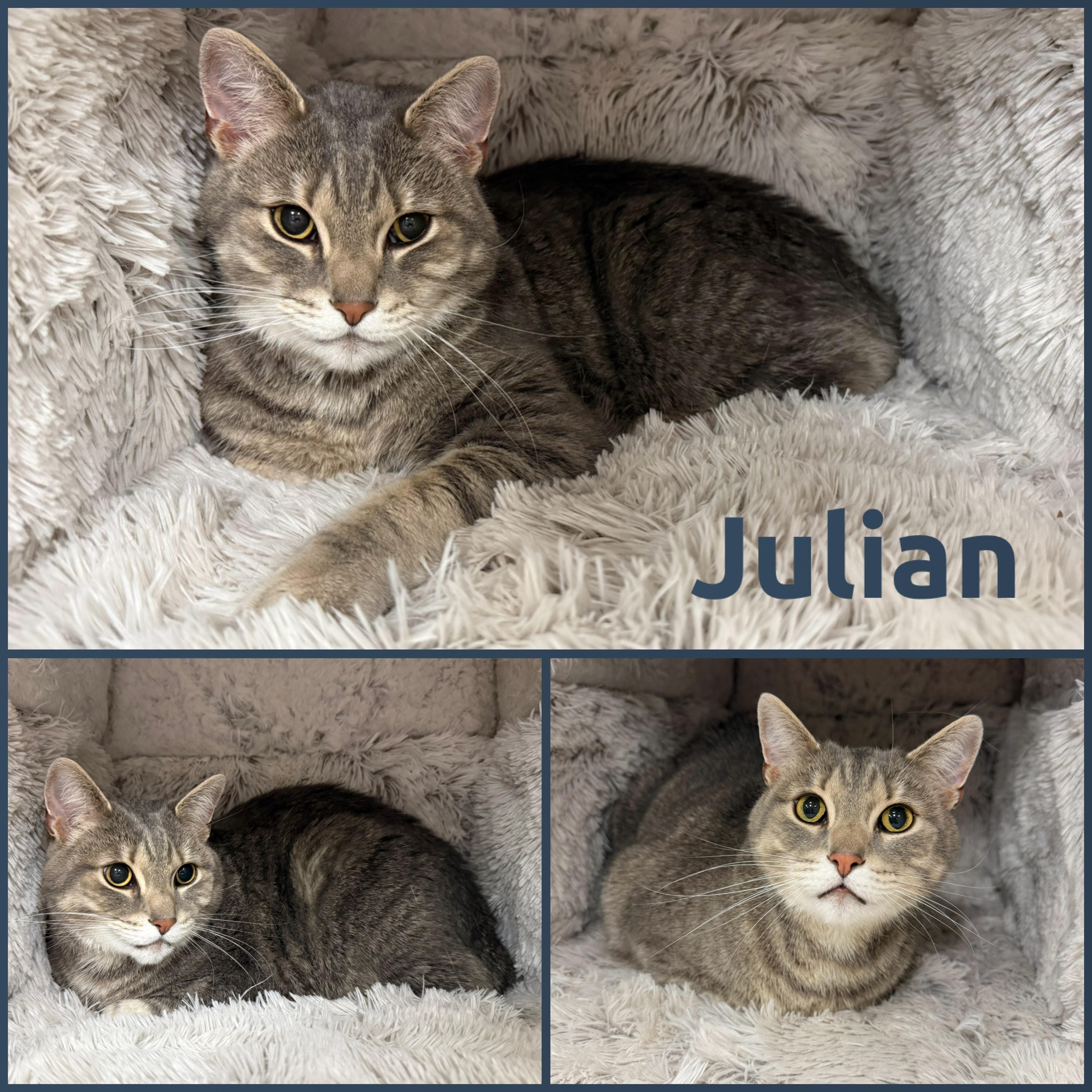 Julian