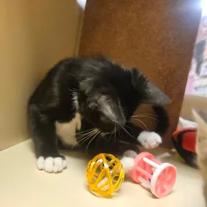 Sleepy