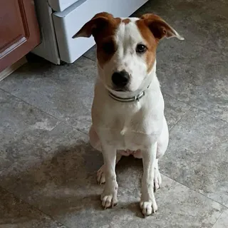 Zoey