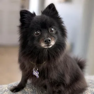 Precious