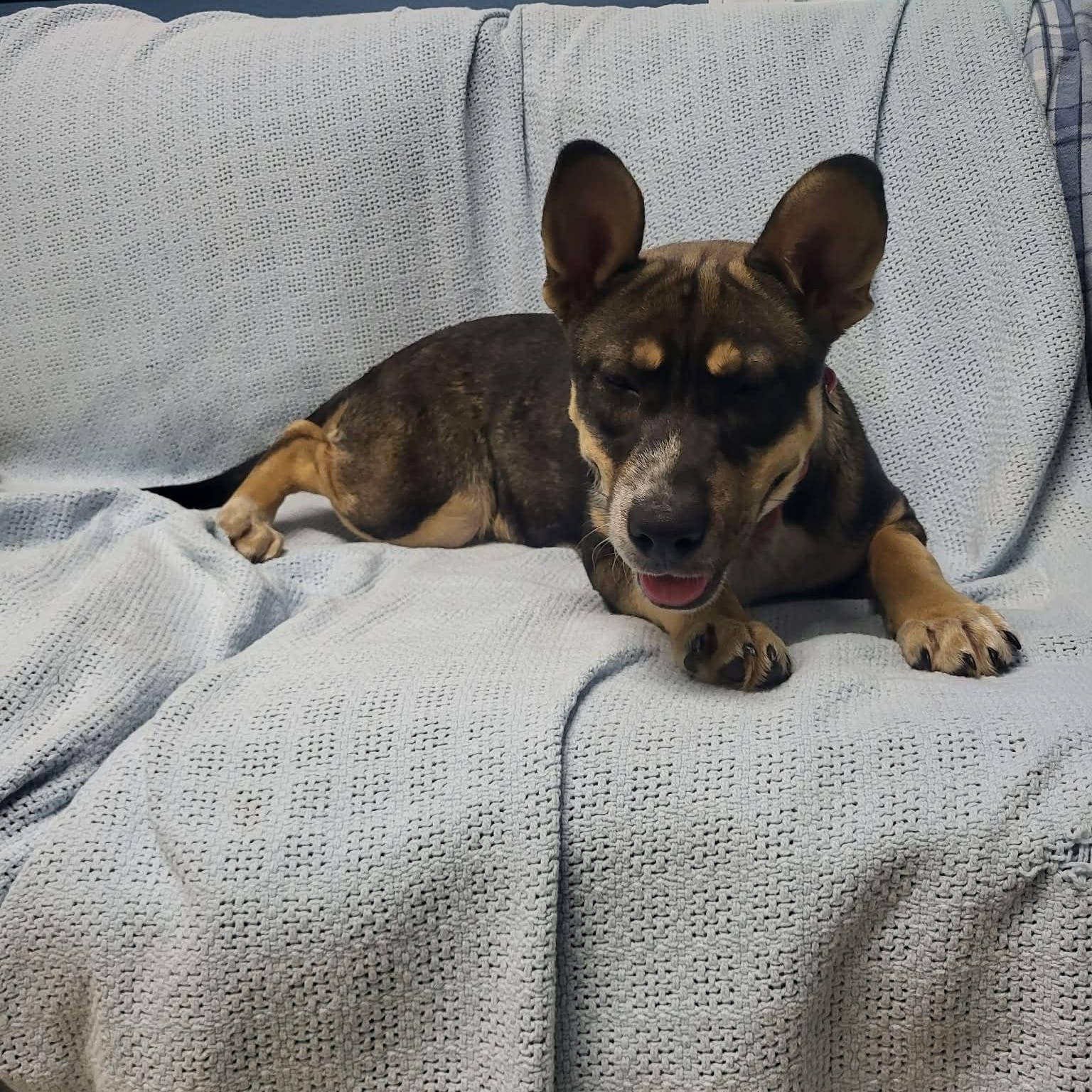 Tova