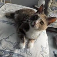 Hera