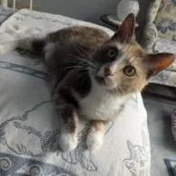 Hera