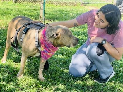 Theadora $85 Fostered