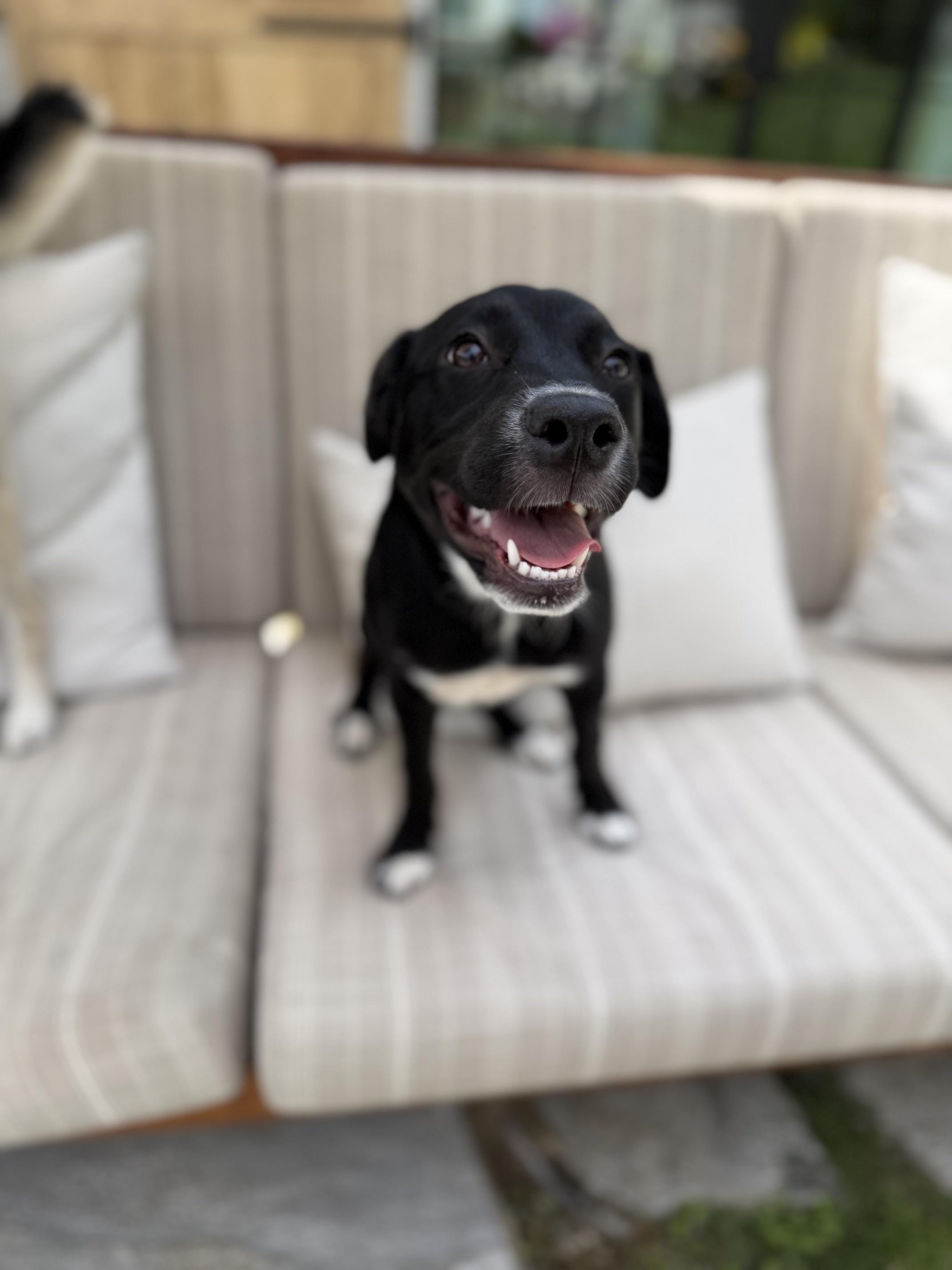 Daisy Mae