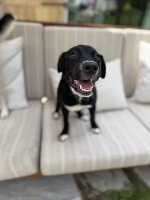 Daisy Mae