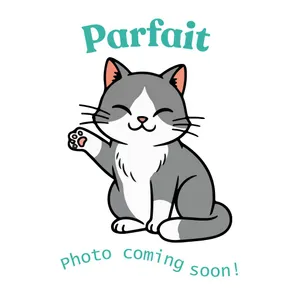 Parfait