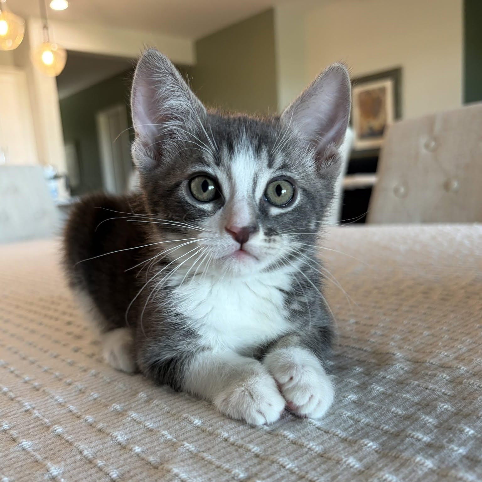 Logan