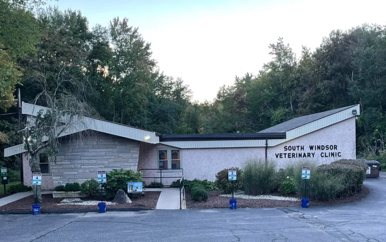 10. South Windsor Animal Hospital