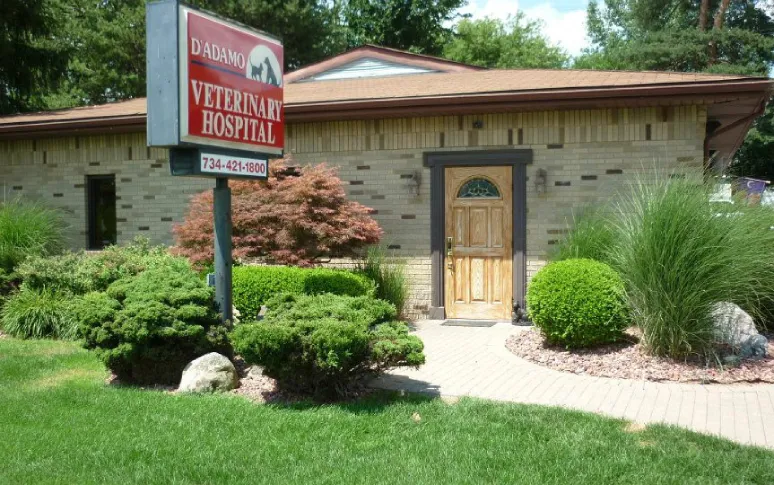 5. D'Adamo Veterinary Hospital