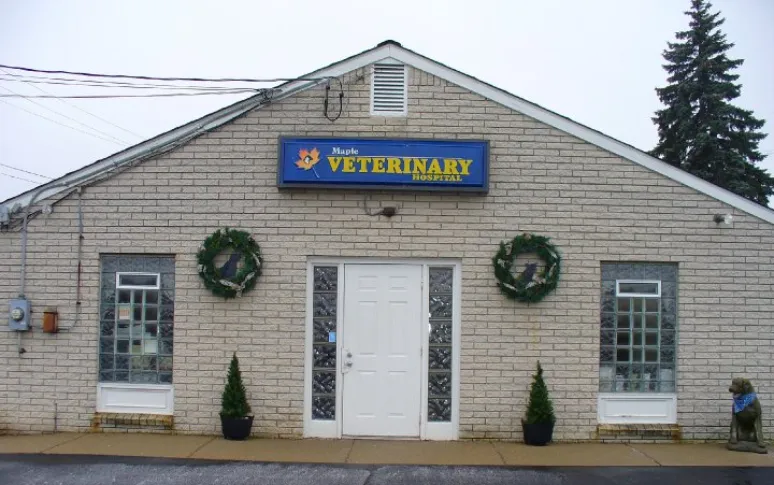 9. Maple Veterinary Hospital