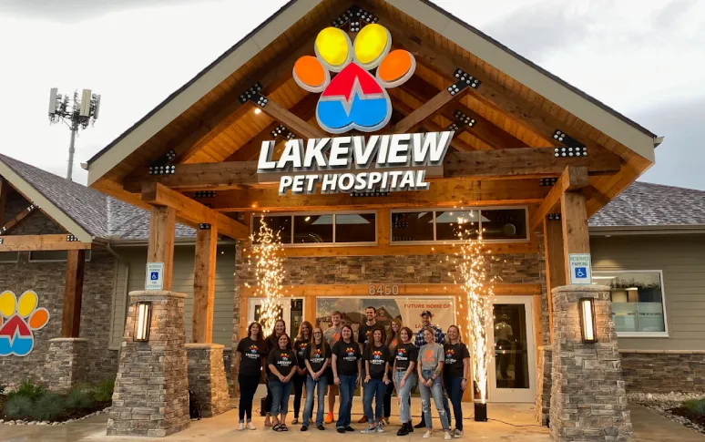 2. Lakeview Pet Hospital