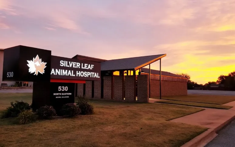 3. Silver Leaf Animal Hospital