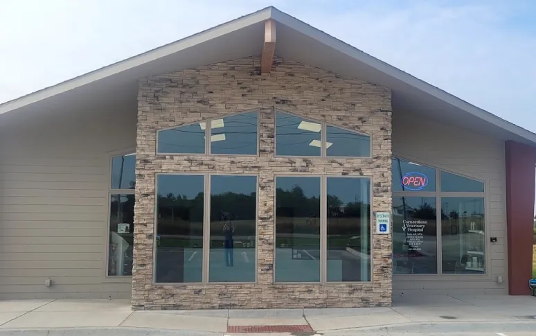 8. Cornerstone Veterinary Hospital