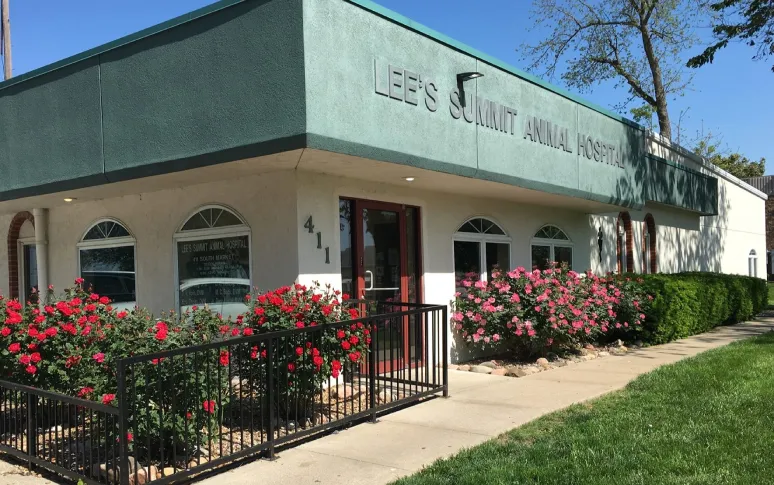 1. Lee's Summit Animal Hospital