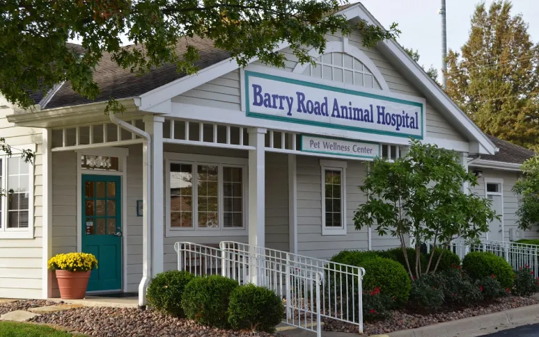 10. Barry Road Animal Hospital