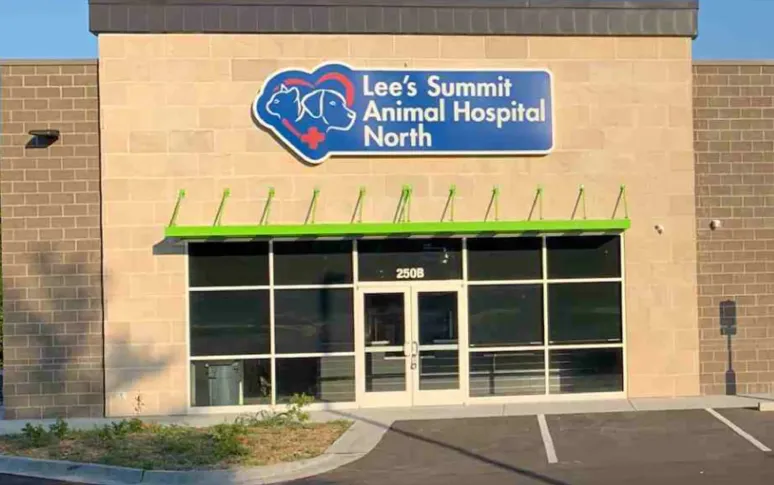12. Lee's Summit Animal Hospital North