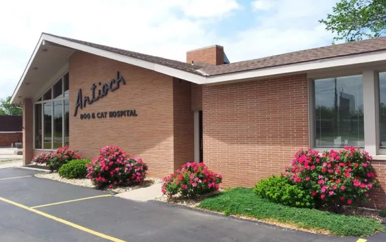 14. Antioch Dog & Cat Hospital