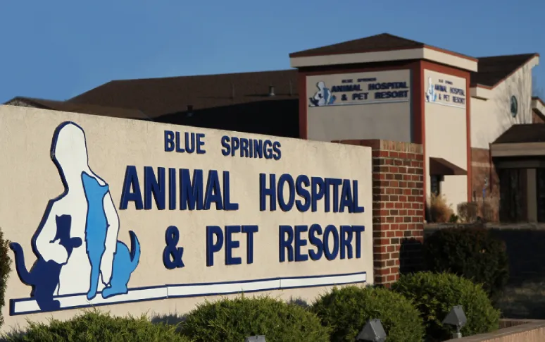 2. Blue Springs Animal Hospital And Pet Resort