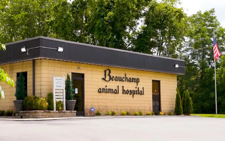 6. Beauchamp Animal Hospital