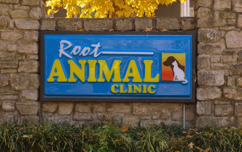 8. Root Animal Clinic