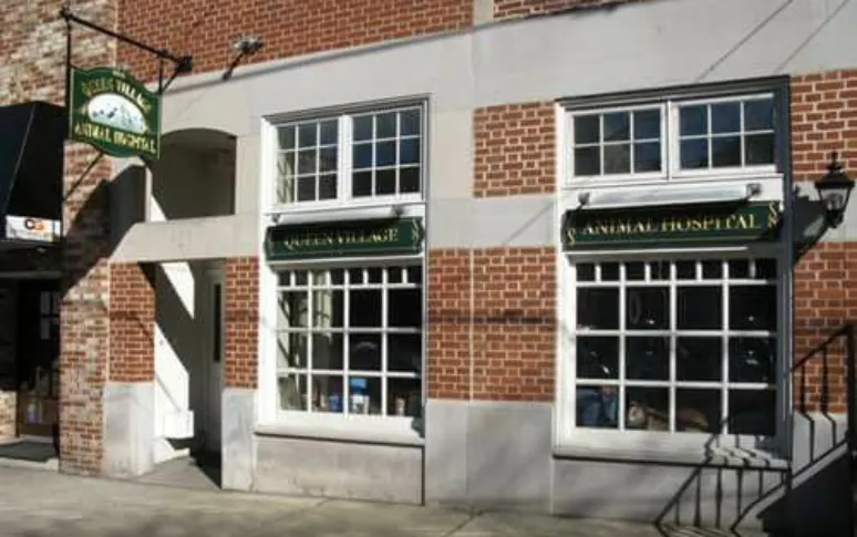 10. Queen Village Animal Hospital