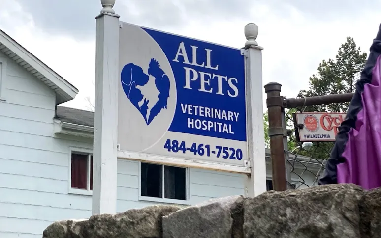 11. All Pets Veterinary Hospital