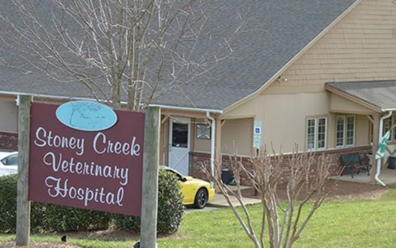 2. Stoney Creek Veterinary Hospital