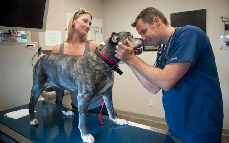 13. Mattituck-Laurel Veterinary Hospital