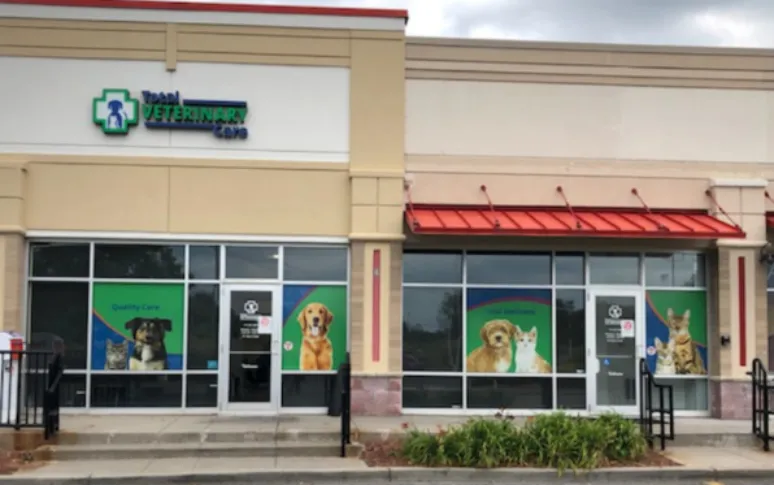 5. Village Veterinary Hospital
