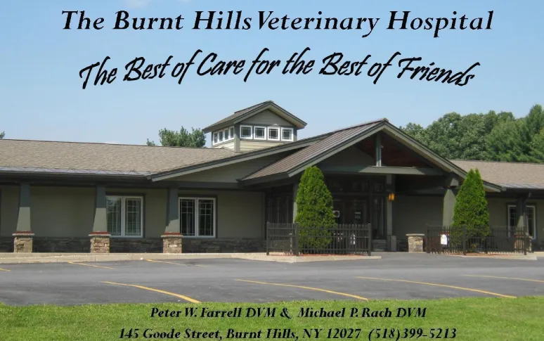 7. Burnt Hills Veterinary Hospital