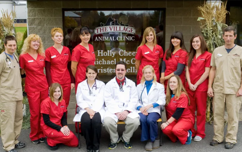 8. The Village Animal Clinic